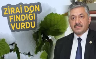 FINDIĞI ZİRAİ DON VURDU