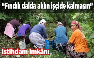 “Fındık dalda aklın işçide kalmasın”