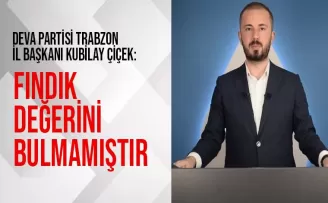 Fındık Değerini Bulmamıştır