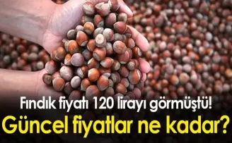 Fındık fiyatı 120 lirayı görmüştü! Güncel fiyatlar ne kadar?