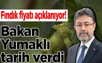 Fındık fiyatı açıklanıyor! Bakan Yumaklı tarih verdi