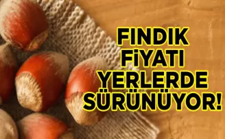 Fındık fiyatı yerlerde sürünüyor…
