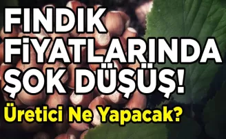 Fındık Fiyatlarında Şok Düşüş: Üretici Ne Yapacak?