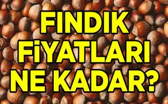 Fındık Fiyatlarında Son Durum: Piyasada Hangi Bölgede Ne Kadar?