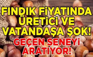 Fındık fiyatlarında vatandaşa şok! Geçen seneyi bile aratıyor...