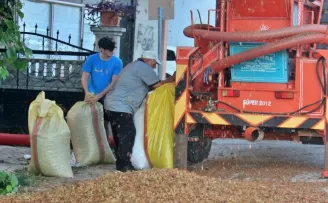 Fındık sezonunda tarımsal yaralanmalarda artış gözleniyor