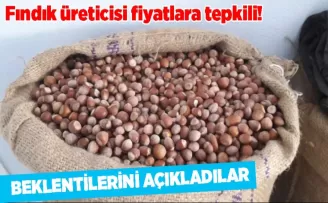 Fındık üreticisi fiyatlara tepkili! Beklentilerini açıkladılar...