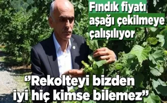 Fındıkta algı oluşturuluyor