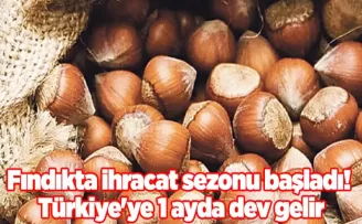 Fındıkta ihracat sezonu başladı! Türkiye’ye 1 ayda dev gelir