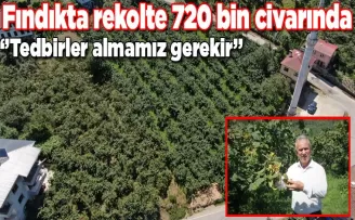 Fındıkta rekolte 720 bin civarında