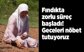 Fındıkta zorlu süreç başladı! ’’Geceleri nöbet tutuyoruz...’’