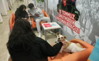 Gençlik merkezince sahiplenilen “Şila“, çocukların ve gençlerin dostu oldu