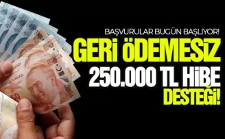 Geri ödemesiz 250 bin lira hibe desteğİ, başvurular bugün başlıyor!