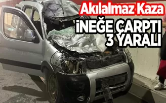 Gümüşhane’de hafif ticari araç ineğe çarptı! 3 yaralı