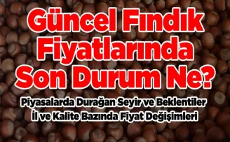 Güncel Fındık Fiyatlarında Son Durum Ne?