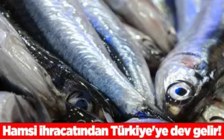 Hamsi ihracatından Türkiye’ye dev gelir!