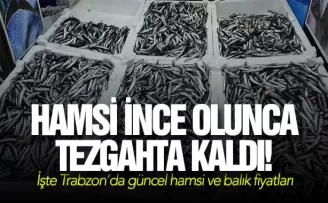 Hamsi ince olunca tezgahta kaldı!
