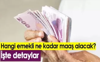 Hangi emekli ne kadar maaş alacak? İşte detaylar