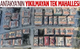 Hatay’da hiçbir evin yıkılmadığı mahalle