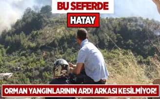 Hatay’da yerleşim yerine yakın orman yangını