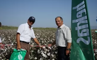 Hektaş'ın yeni pamuk tohumu 