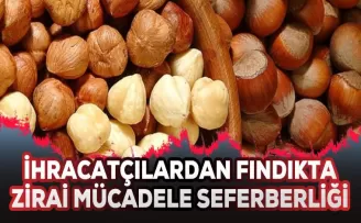 İhracatçılardan fındıkta zirai mücadele seferberliği