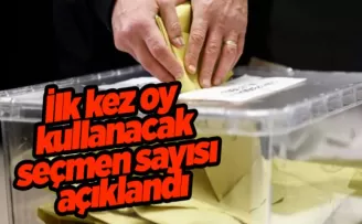 İlk kez oy kullanacak seçmen sayısı açıklandı