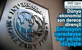 IMF: Dünya ekonomisi son derece dirençli