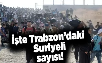 İşte Trabzon’daki Suriyeli sayısı!