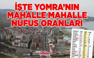 İŞTE YOMRA’NIN MAHALLE MAHALLE NÜFUS ORANLARI