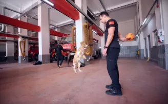 İtfaiyecilerin sahiplendiği köpek personelin yanından ayrılmıyor