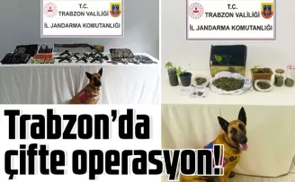 Jandarma timlerinden çifte operasyon