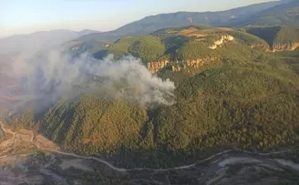 Karabük’te çıkan orman yangınına müdahale ediliyor