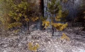 Karabük’te çıkan örtü yangını söndürüldü