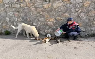 Karabük’te jandarmadan sahipsiz hayvanlara mama ve su desteği