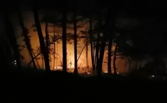 Karabük’te ormanlık alanda çıkan yangın söndürüldü