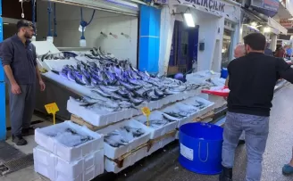 Karadeniz'de avlanan 1 kilogramlık palamutlar 35 liradan alıcı buluyor