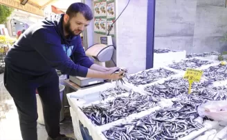 Karadeniz’de bollaşmaya başlayan hamsinin fiyatı düştü
