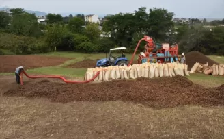 Karadeniz’de fındık hasadını tamamlayan üreticiler patoz mesaisinde