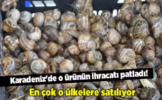 Karadeniz’de o ürünün ihracatı patladı! En çok o ülkelere satılıyor