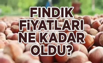 Karadeniz’de Son Fındık Fiyatları Ne? ; İşte O Fiyatlar!
