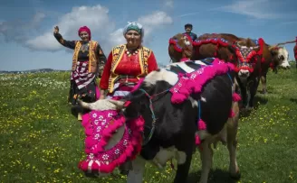 Karadeniz’de yaylacıların göç yolculuğu başladı