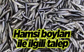 Karadeniz’deki balıkçılardan hamsi boyları ile ilgili talep