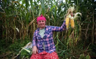 Karadeniz kadınının tarladan sofraya 