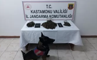 Kastamonu'da evinde ve aracında 1,5 kilogram esrar bulunan zanlı tutuklandı