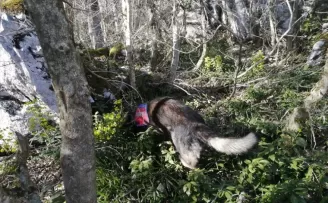 Kastamonu’da kaybolan kişiyi arama çalışması 8 gündür sürüyor