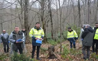 Kastamonu’da kestane ormanlarında üretimin artırılması hedefleniyor