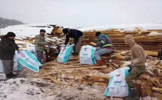 Kastamonu’da köylüler deprem bölgelerine odun göndermek için seferber oldu