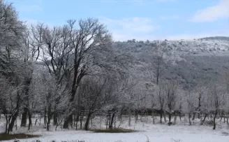 Kastamonu'da yüksek kesimlerde kar etkili oldu
