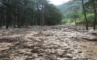 Kastamonu’nun Tosya ilçesinde yağış etkili oldu